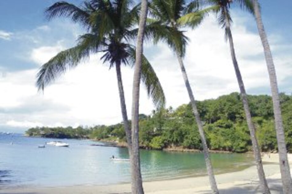 Ecohoteles, una opción diferente