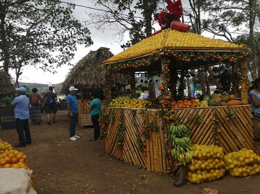 Feria de la Naranja se desarrolló con éxito en Churuquita Grande