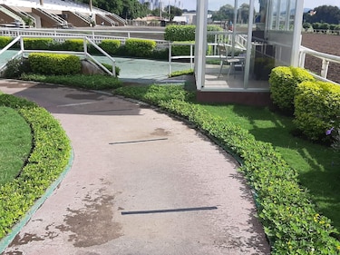 Hipódromo se prepara para reanudar las carreras el 1 de octubre