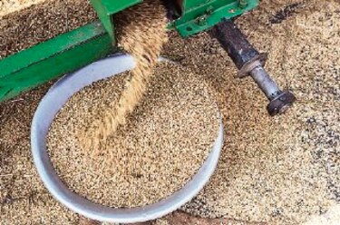 Cuba mejora capacidad de molinos de arroz