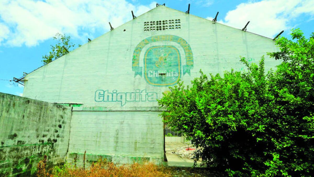 El proyecto de Del Monte generaría unos 3 mil empleos directos y 15 mil indirectos en unos siete años.