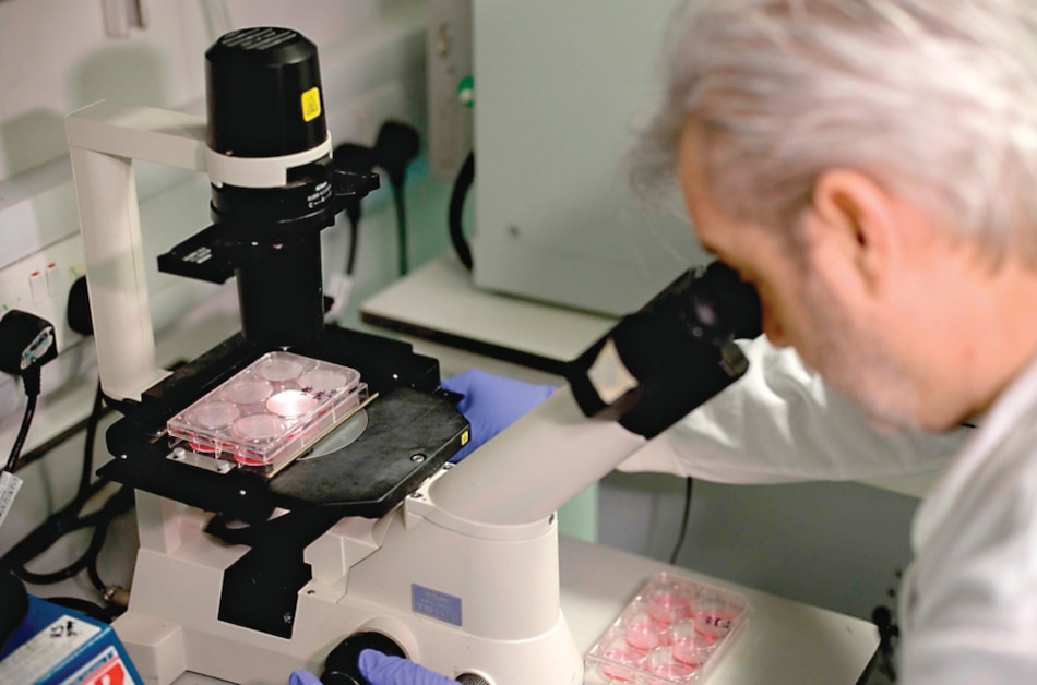 Elaborar una vacuna para el coronavirus tardará 18 meses