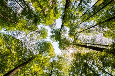 Mastercard presenta una nueva herramienta de cálculo de carbono para los bancos de todo el mundo, a medida que aumenta la pasión de los consumidores por el medio ambiente