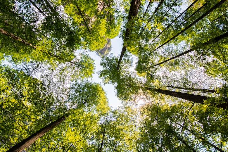 Mastercard presenta una nueva herramienta de cálculo de carbono para los bancos de todo el mundo, a medida que aumenta la pasión de los consumidores por el medio ambiente