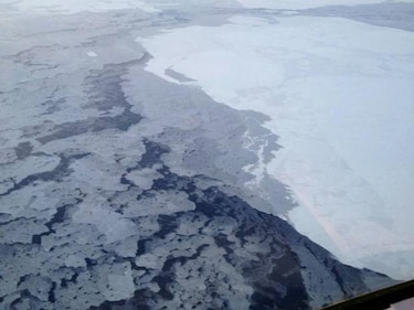 Cambio climático influye en ecosistemas terrestre y marino del Ártico