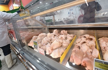 Disminuye consumo de pollo