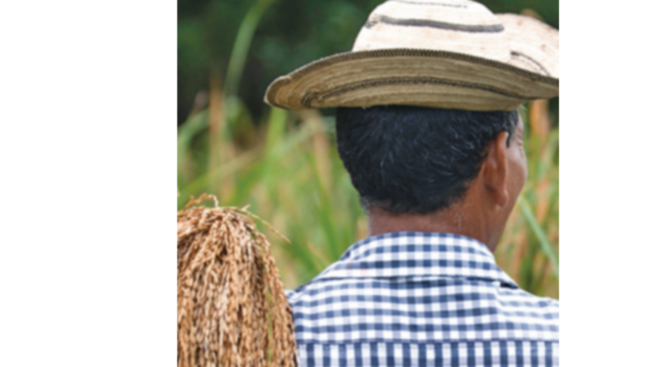 Firma de Cortizo pondrá fin a la Aupsa