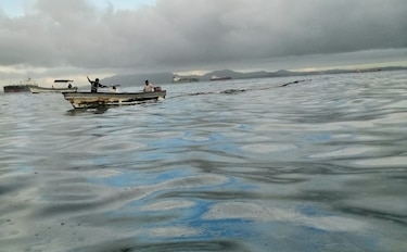 Fiscalía de Ambiente comenzó una investigación por el derrame de una sustancia en la costa de la isla Taboguilla