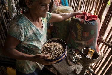 280 mil personas padecen hambre en Panamá, advirtió la FAO