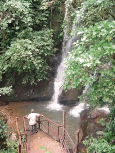 Parque Omar de El Copé, ícono natural de La Pintada