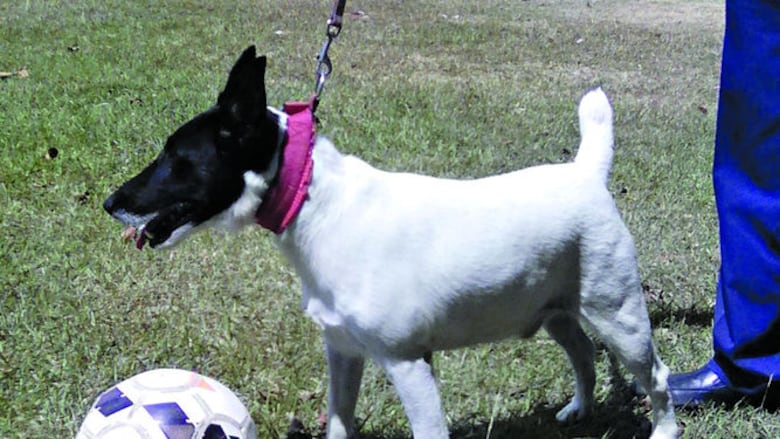 Orión, el futbolista