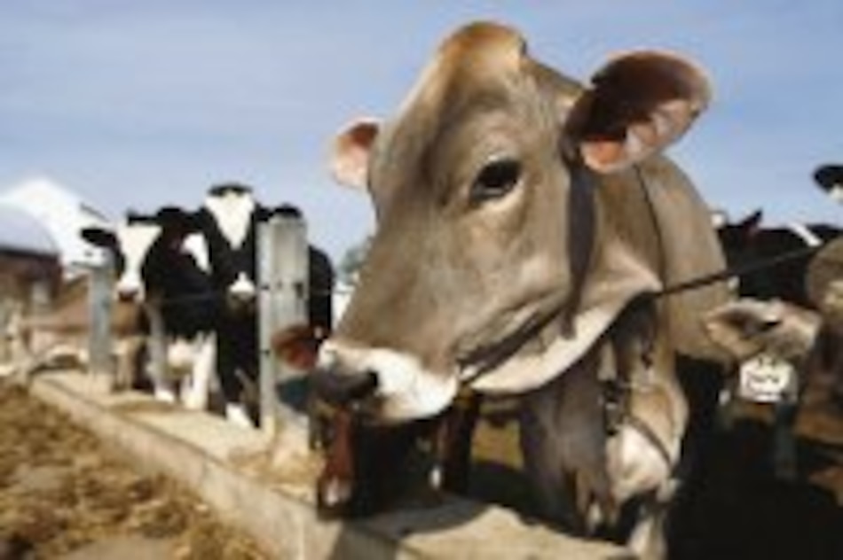 Análisis Crecimiento e inflación son índices que van de la mano