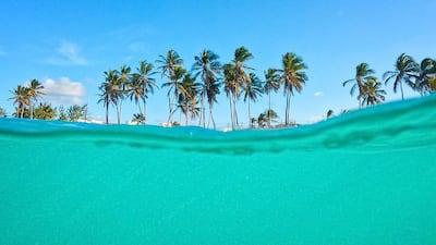 La ‘Isla del Ayer’, la ‘Isla del Mañana’ y otras islas con fronteras curiosas que comparten varios países