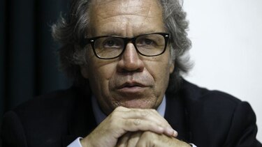 La OEA confirma su participación como observadora en primarias de partidos y la elección general de 2024