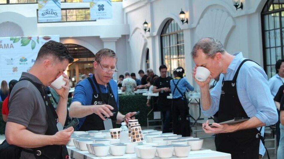 Crece interés en el mundo para adquirir café panameño