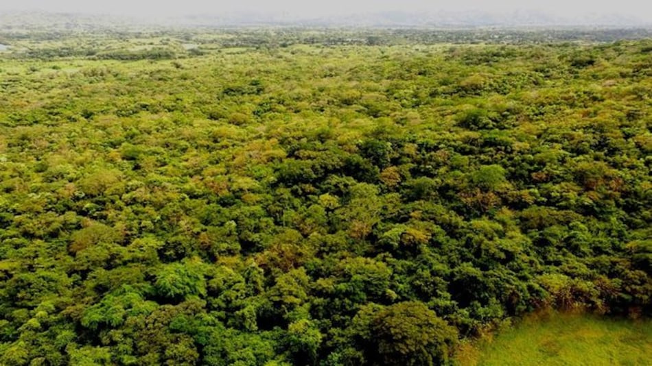 Organizan celebración de los 100 años de la primera área protegida en Panamá