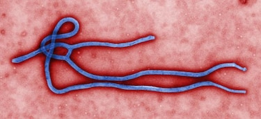 España, oficialmente libre del ébola