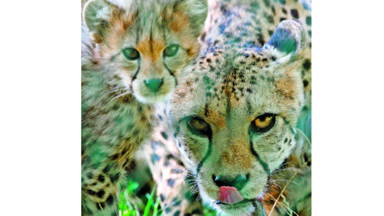 Lo que nos deja 2016 en ciencia