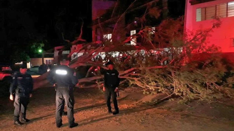 Dos heridos tras la caída de un árbol en iglesia San Miguel Arcángel de Monagrillo