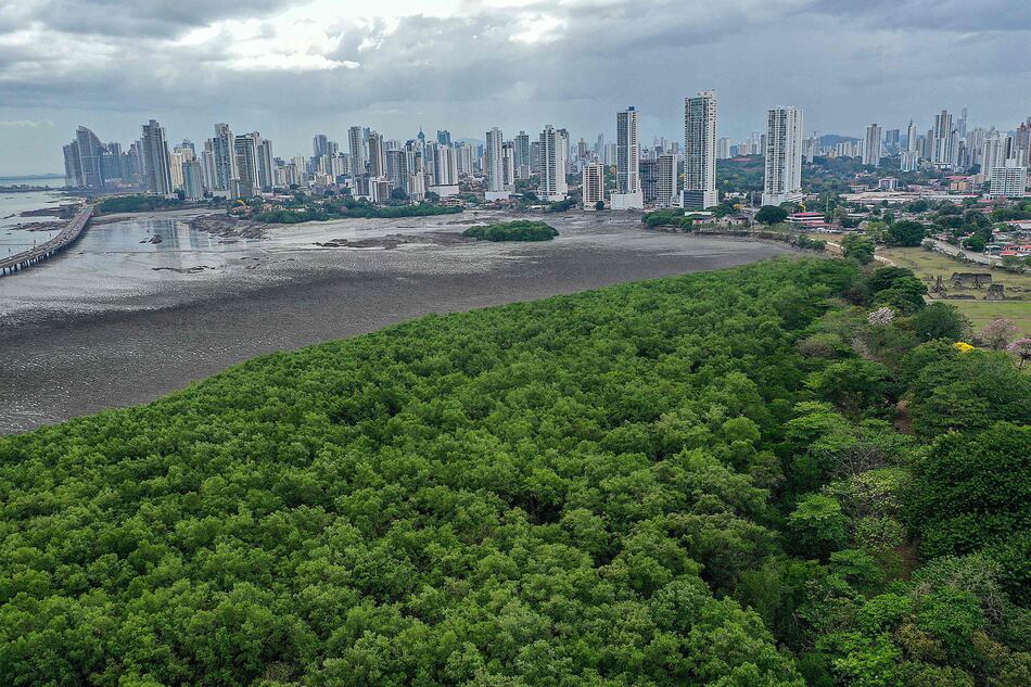 Panamá, la ciudad mejor valorada por inversores españoles