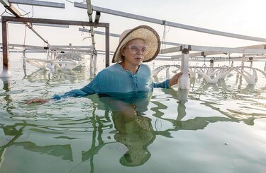 Artista israelí elabora esculturas en el mar Muerto