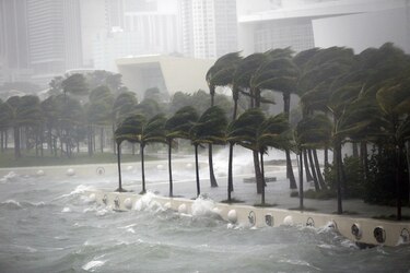 Irma: colapsa una grúa de construcción en el inundado centro de Miami