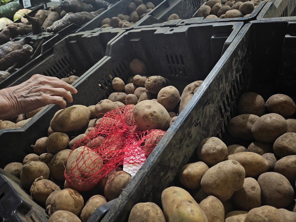 Escasez de papa nacional preocupa a consumidores: ¿qué está pasando?