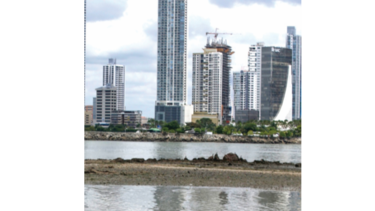 El Tribunal Electoral no participará en la consulta de la Alcaldía de Panamá para la playa