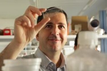 Crean órganos humanos en chip en Israel