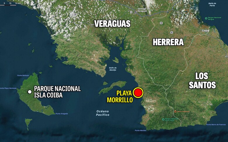 Playa de anidación de tortugas en Mariato está en peligro, denuncian ambientalistas