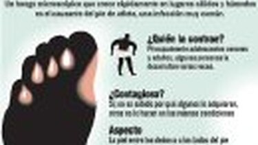 Al paso de los hongos