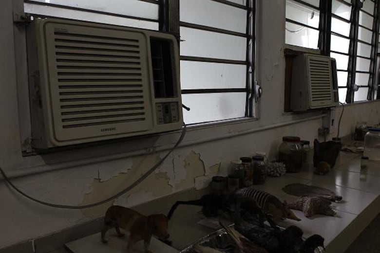 Sueldos récords en la Universidad de Panamá