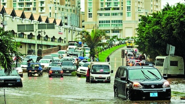 Estudios geotécnicos en Punta Pacífica