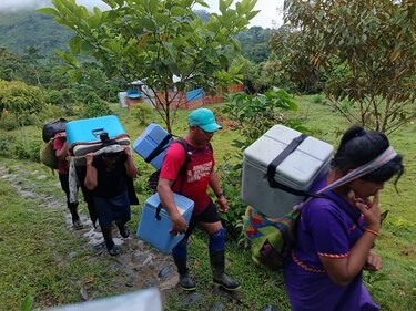 Minsa afirma que el brote de tosferina en la comarca Ngäbe Buglé está  ‘contenido’