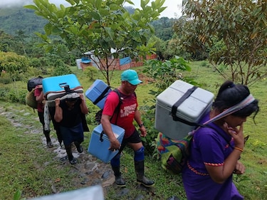 Repunte de tosferina en Panamá: 14 casos en niños y una muerte este año