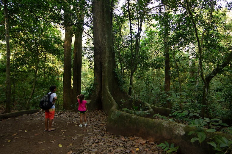 Áreas protegidas: ¿Cuáles serían las tarifas para su uso?