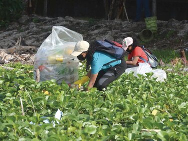 Reutilizar el plástico