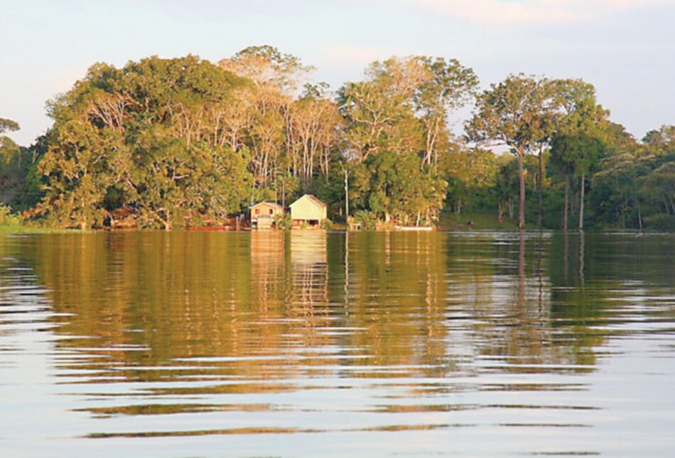 América Latina y el Caribe, el actor inesperado del cambio climático