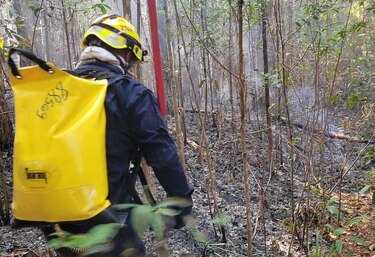 Controlan el incendio en reserva La Yeguada