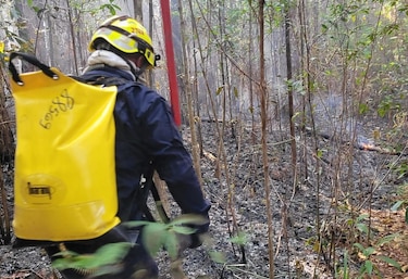 Controlan el incendio en reserva La Yeguada