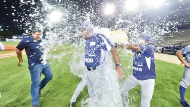 Los Toros de Manuel Rodríguez