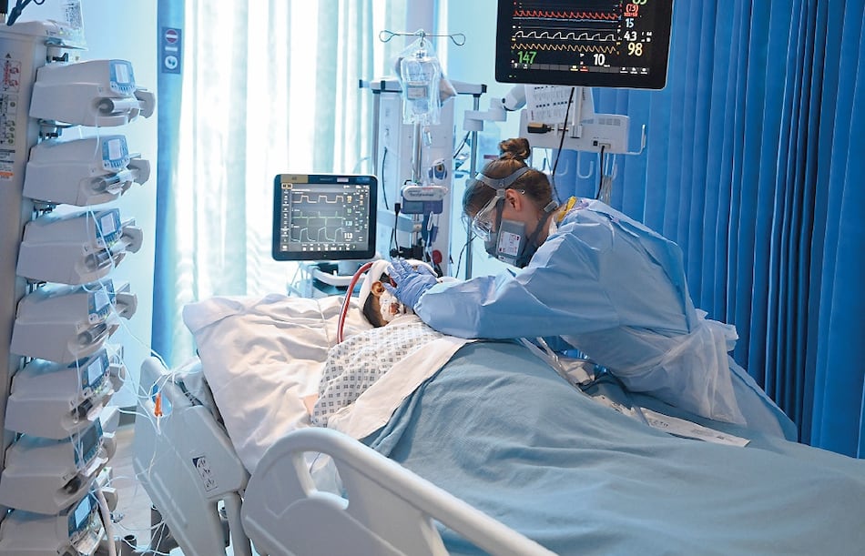 La importancia de la nutrición en los pacientes críticos