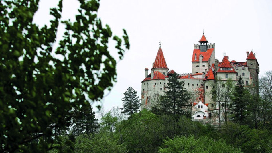 Cierran castillo de Drácula por miedo a los osos