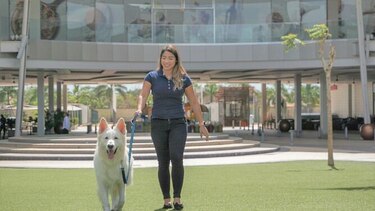 Town Center Costa del Este es oficialmente ‘pet friendly’