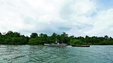 Cuidemos nuestros manglares