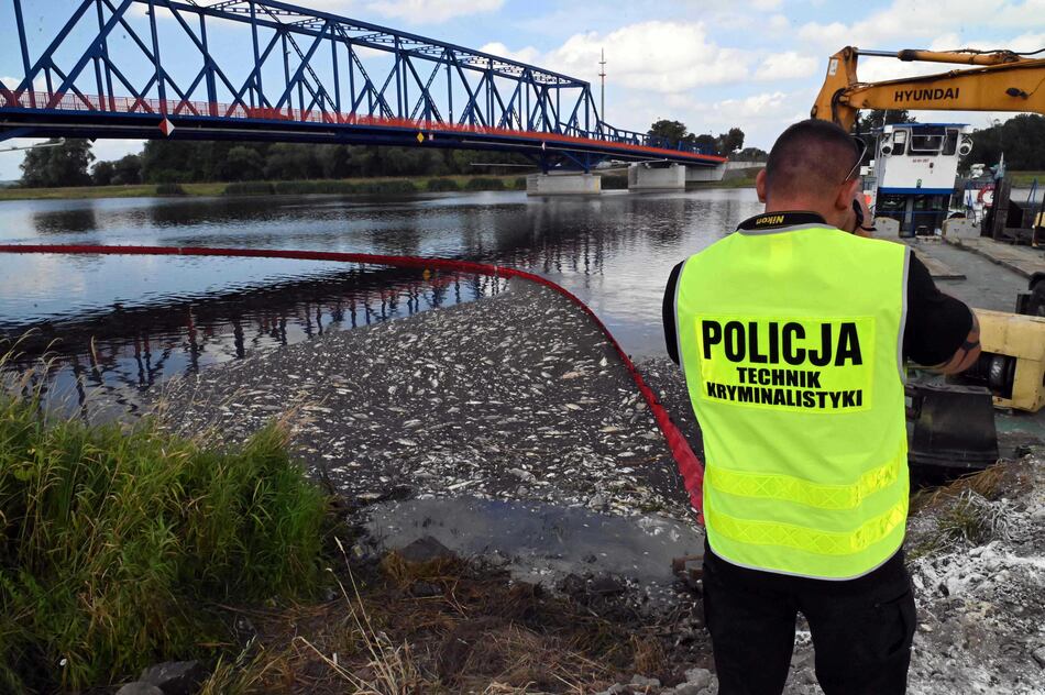 Aumenta mortandad de peces en río Oder entre Polonia y Alemania