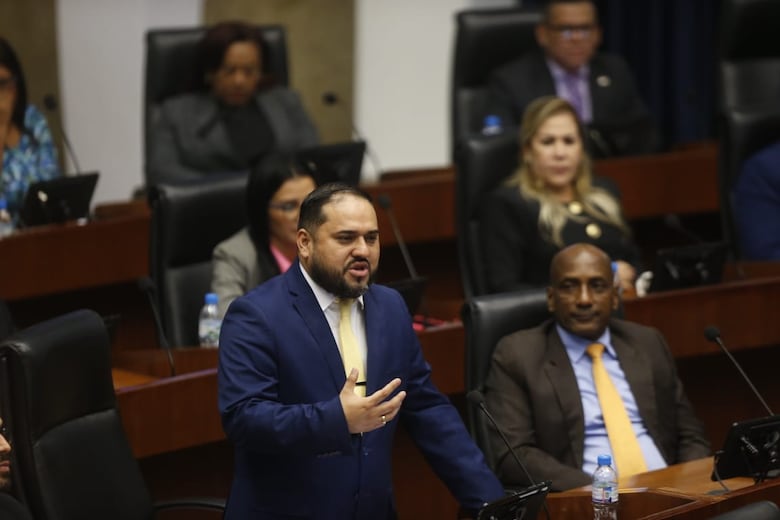 Pleno de la Asamblea nombra a Anel ‘Bolo’ Flores como contralor de la República