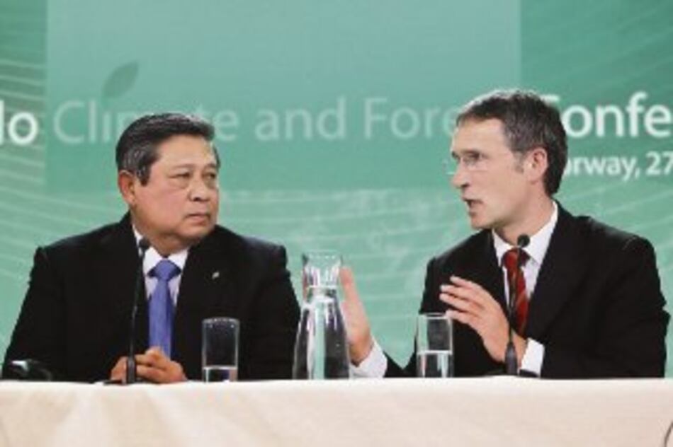 Financiarán plan antideforestación