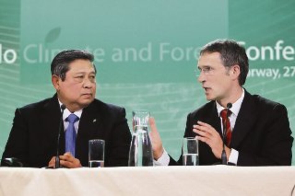 Financiarán plan antideforestación