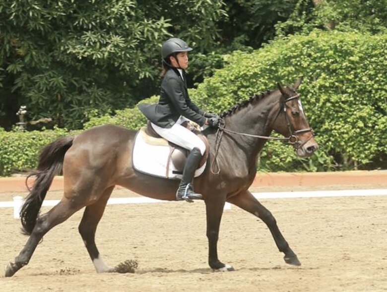 Elegancia y precisión